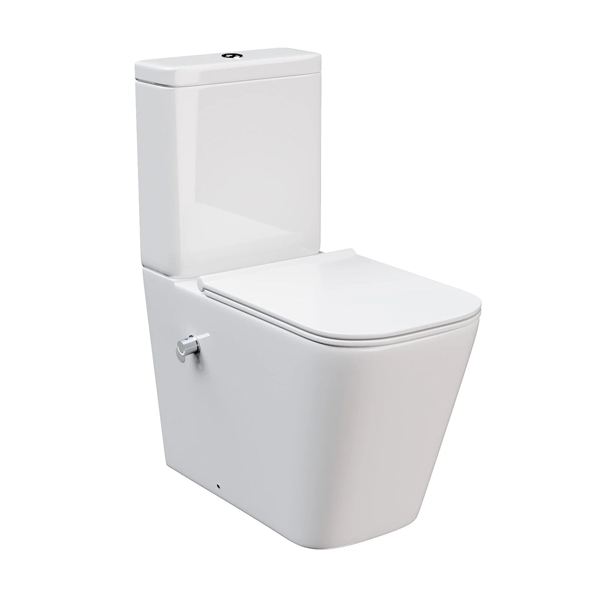 Comfort Height Close Coupled Toilet Pan With Integrated Hot & Cold Bidet Valve set