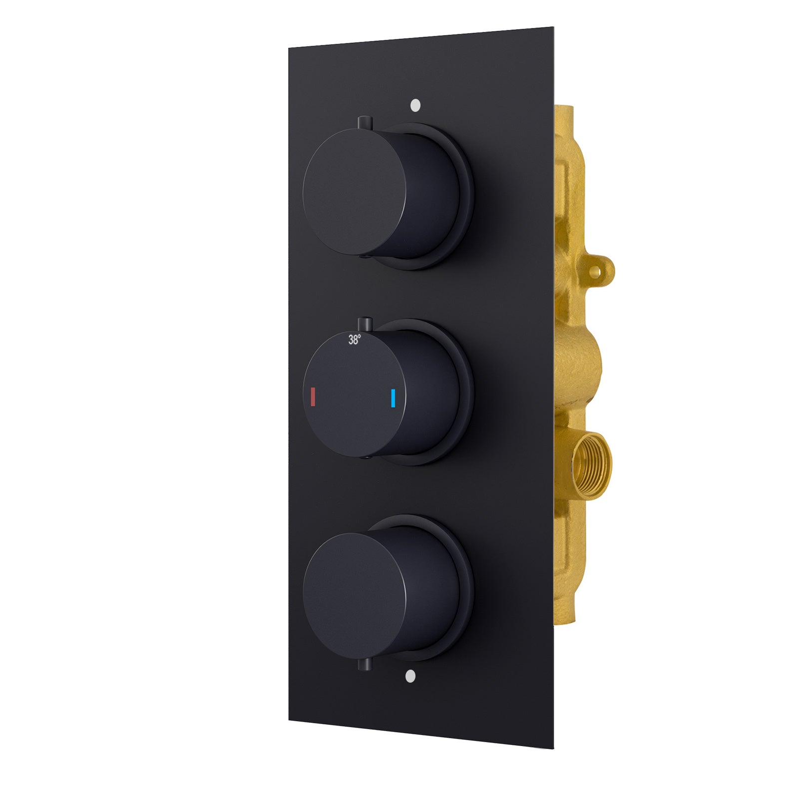 Lily 3 Dial 2 Outlet Round Concealed Thermostatic Shower Valve - Black Matt