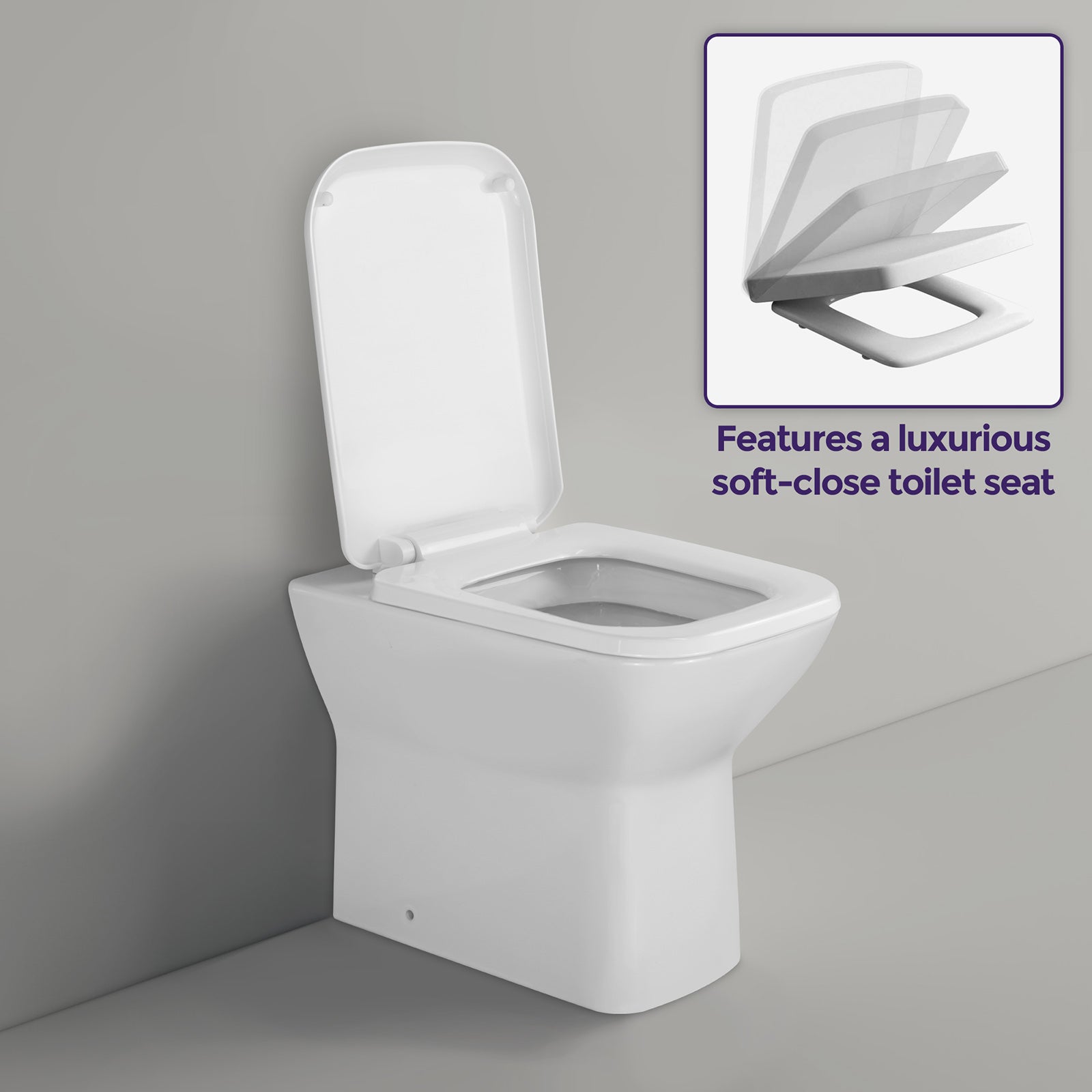 Louis Stylish Back to Wall Rimless Toilet and Soft Close Seat White