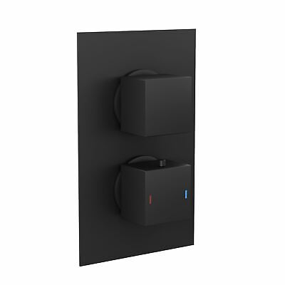 Temel Matt Black Rainfall Shower Head with Hand Held and Thermostatic Valve