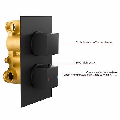 Temel Matt Black Rainfall Shower Head with Hand Held and Thermostatic Valve