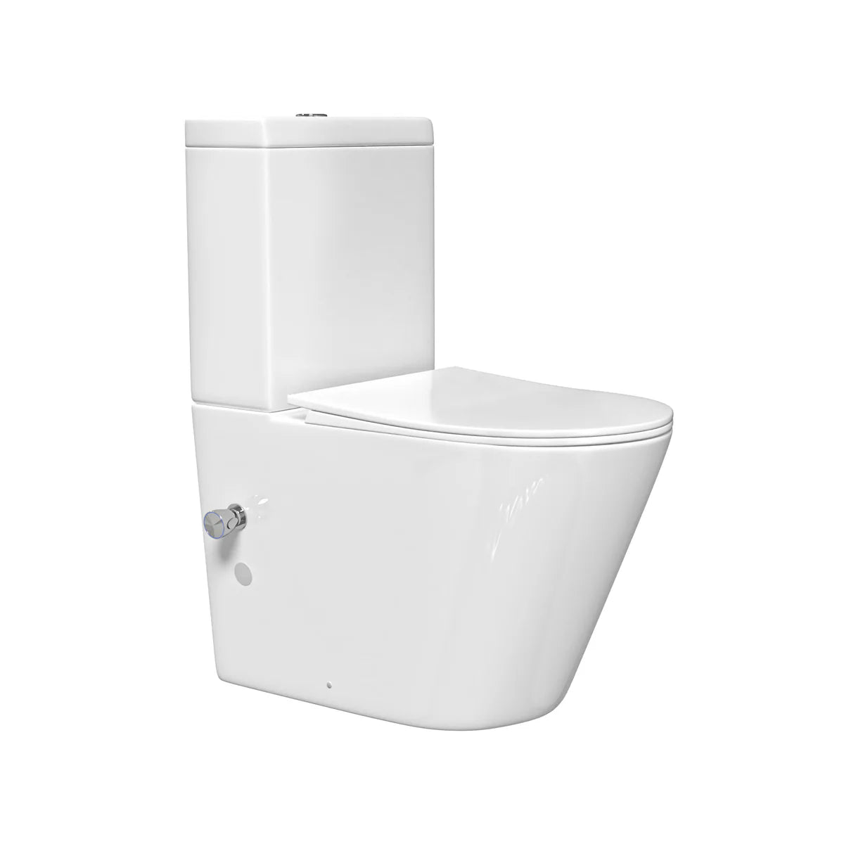 Round Rimless Close Coupled Toilet Pan With Integrated Bidet Valve