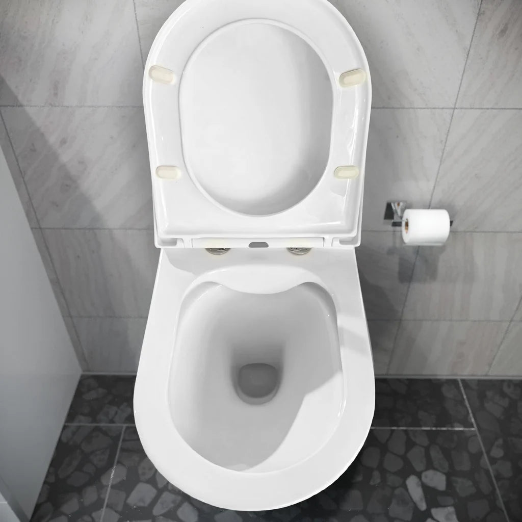 D Shape Rimless Short Projection BTW Pan with Soft Close Seat