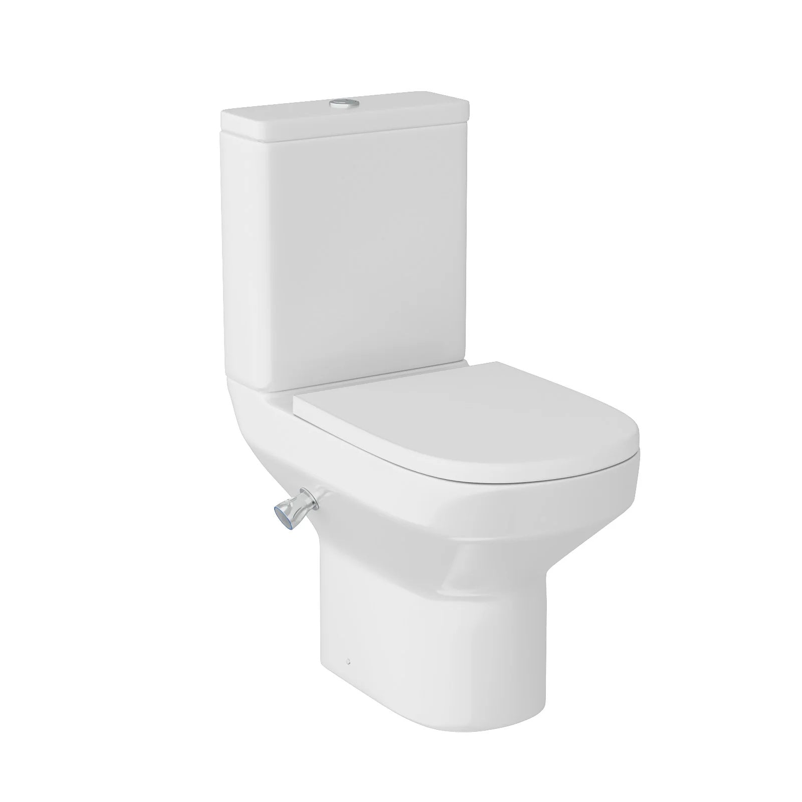 Rimless D Shape Close Coupled Toilet Pan with Integrated Bidet