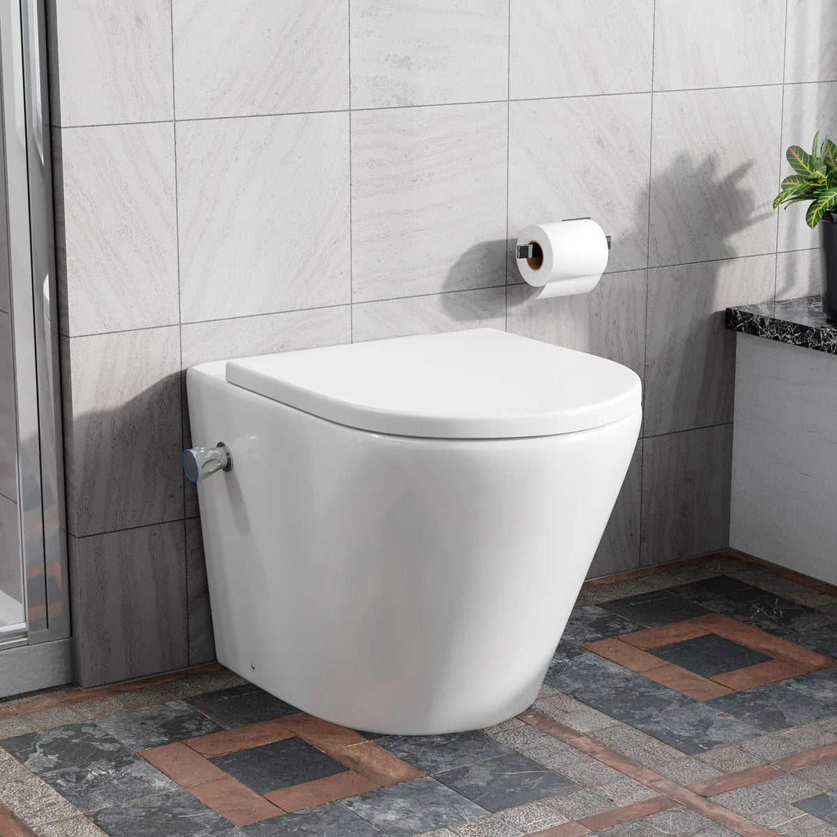 Rimless D Shaped Back To Wall Toilet With Integrated Bidet