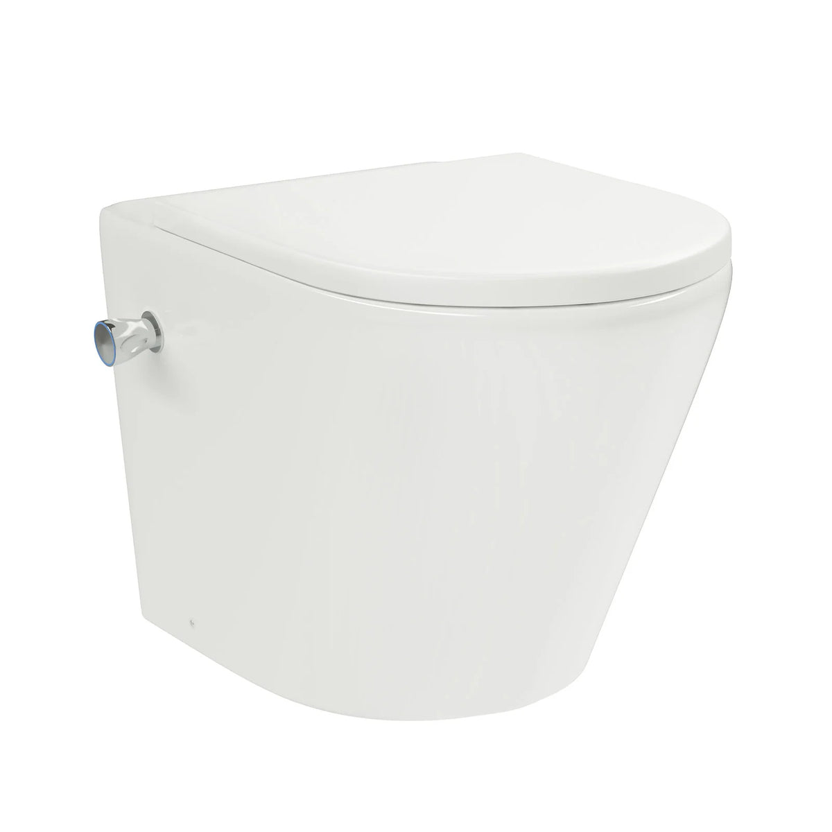 Rimless D Shaped Back To Wall Toilet With Integrated Bidet