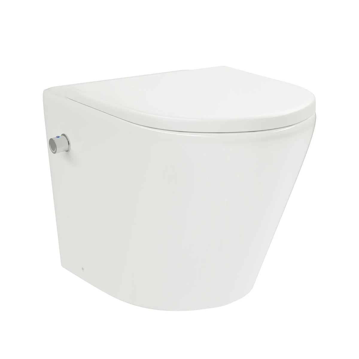 Rimless D Shaped BTW Toilet With Integrate Hot Cold Bidet Valve