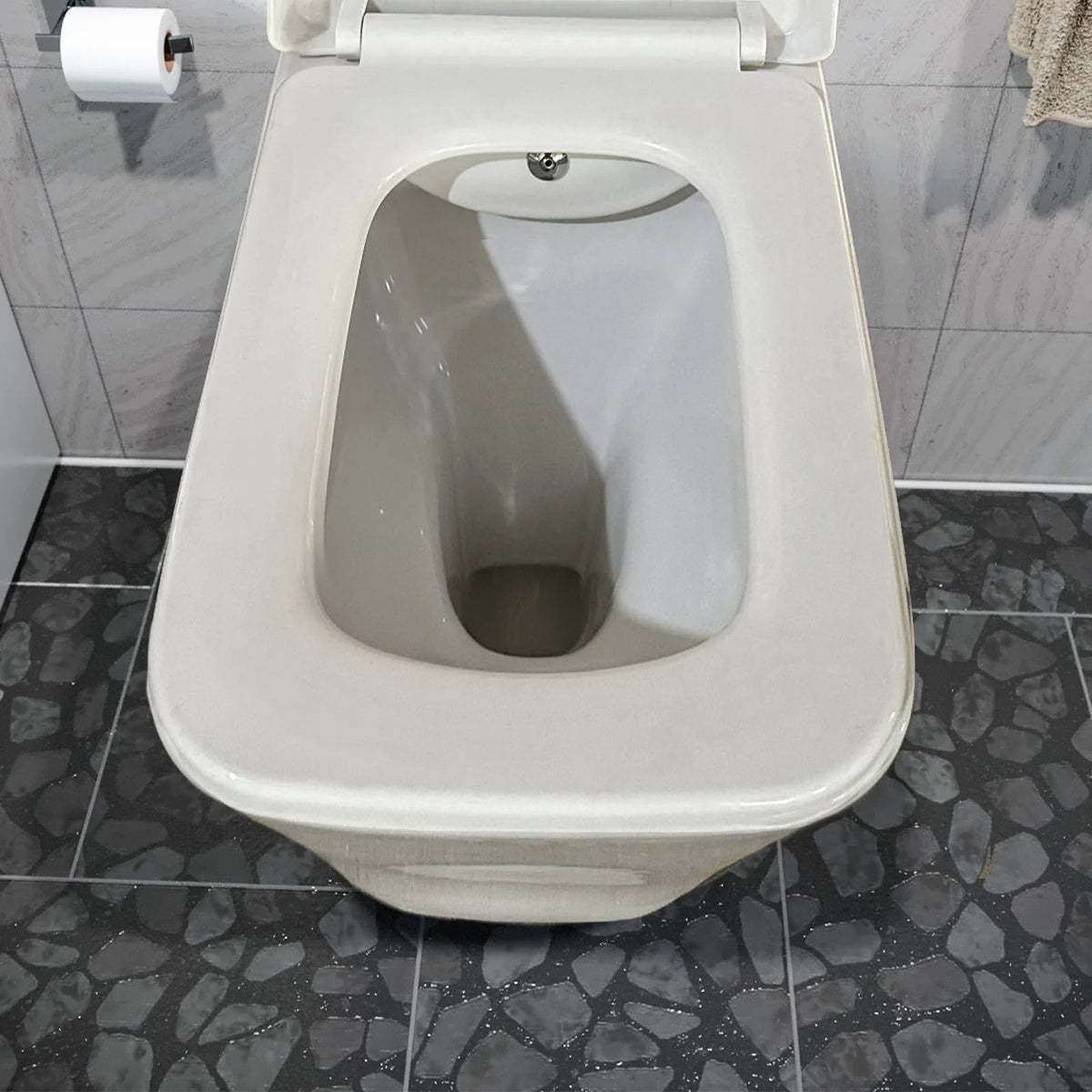 Square Rimless Back To Wall Toilet With Integrate Hot Cold Bidet Valve